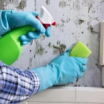 schimmel-komt-niet-meer-terug-betaalbare-remedie-verlost-muren-van.webp.webp